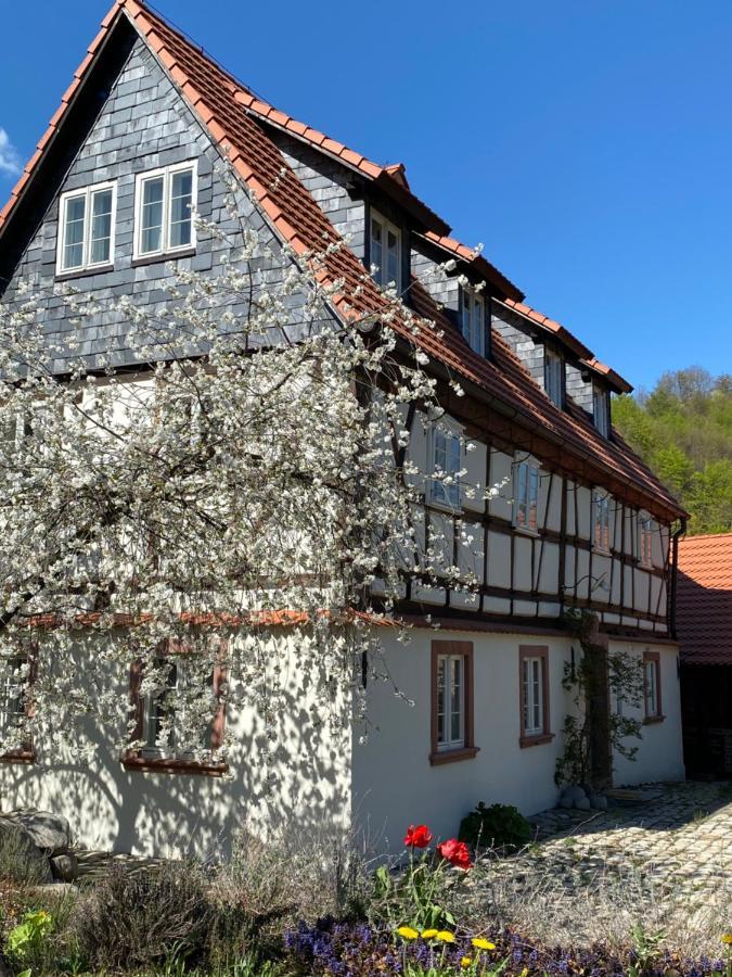 Dom Tkacza Appartement Pieszyce Buitenkant foto